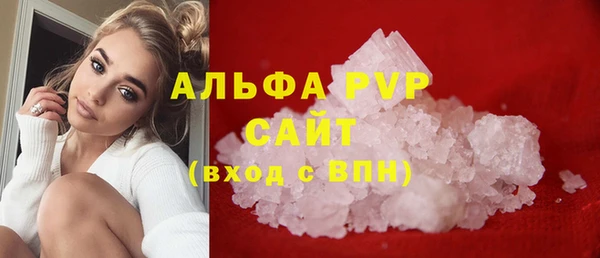 стаф Карпинск