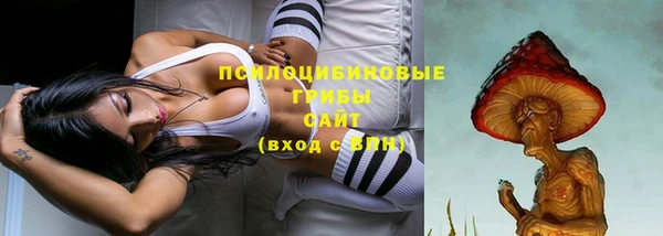 меф Касимов
