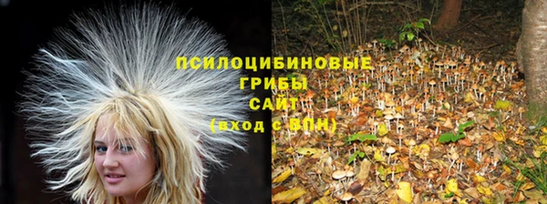 стаф Карпинск