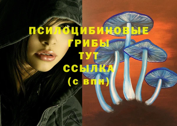 меф Касимов