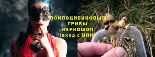стаф Карпинск